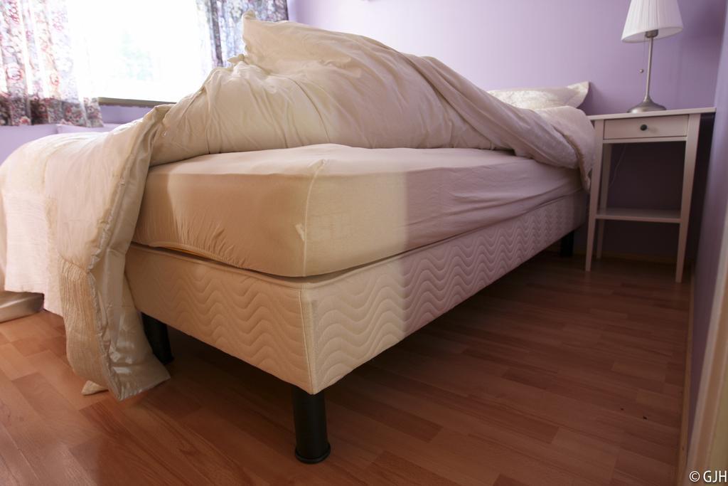 Apartment Tungata Сейдисфьордюр Экстерьер фото